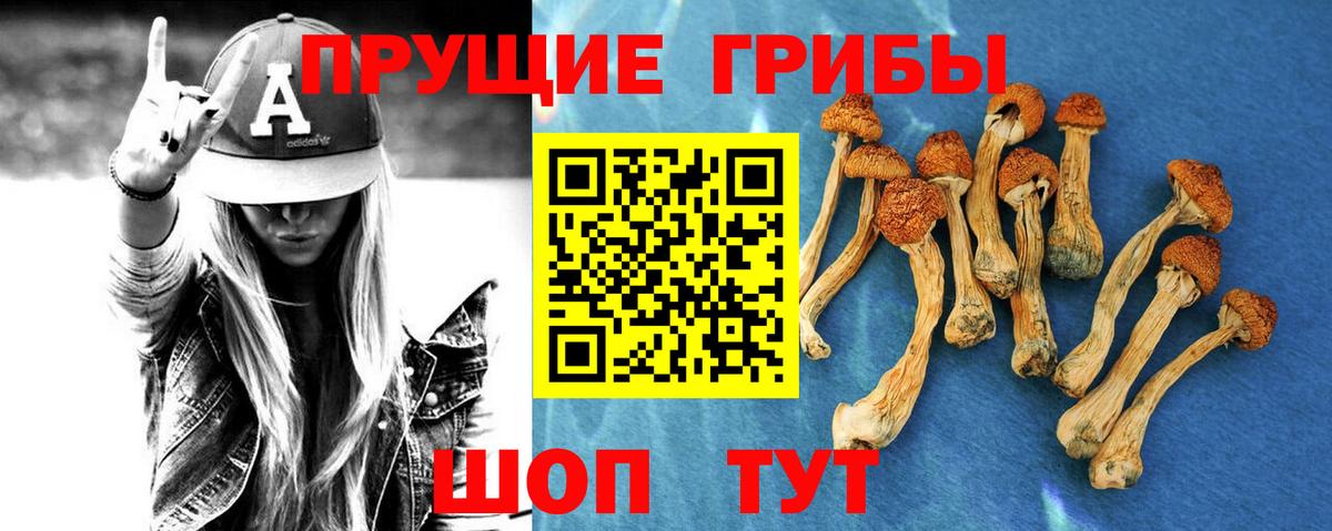 Псилоцибиновые грибы прущие грибы  Галлюциногенные грибы GOLDEN TEACHER  Вход с VPN  Фрязино 