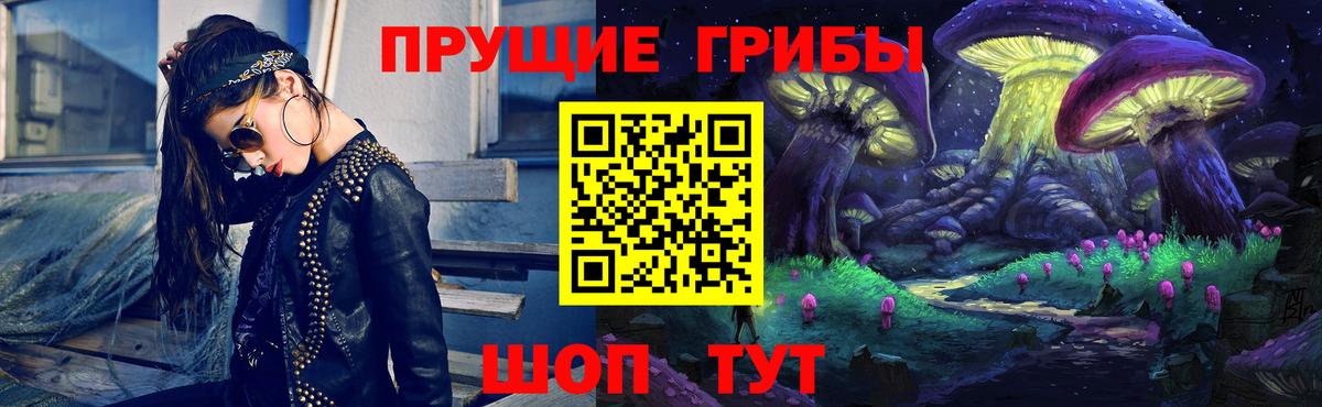 Псилоцибиновые грибы Cubensis Фрязино